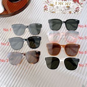 Dior DIOR8067 Butterfly Sunglasses